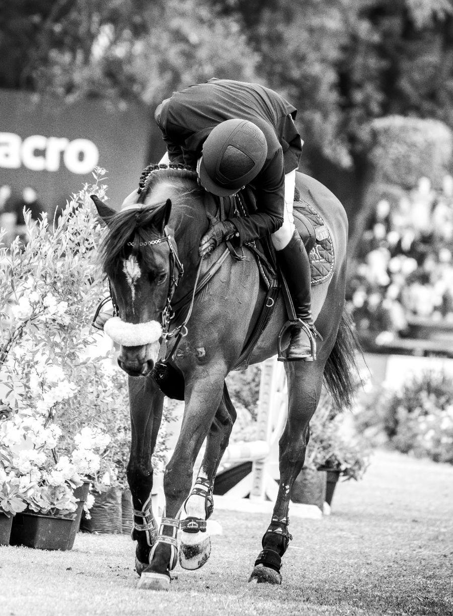 Vínculo entre jinete y caballo